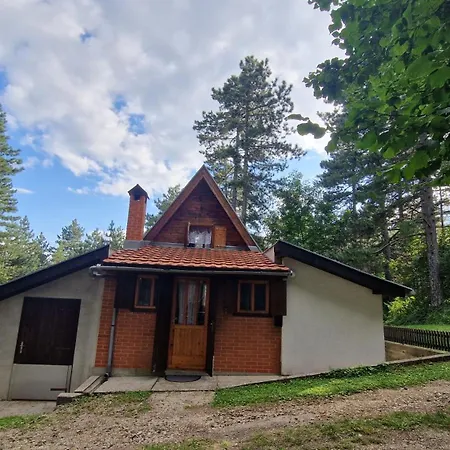 Sumska Jagoda Kaludjerske Bare