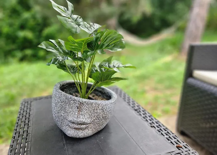 Sumska Jagoda * Kaludjerske Bare